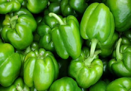 Green pepper Green pepper